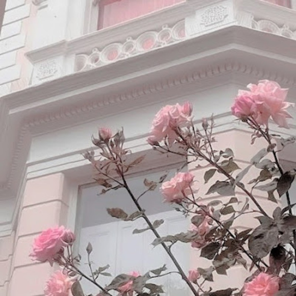 Meet your Posher, Lisa - Picture 1 of 1